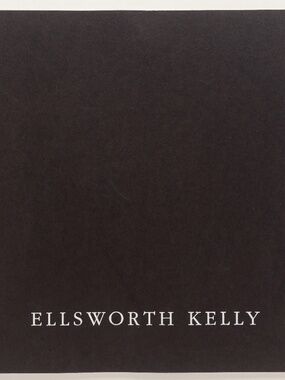 ELLSWORTH KELLY Curves/Rectangles - BlumHelman, 1989 - Barbara Rose